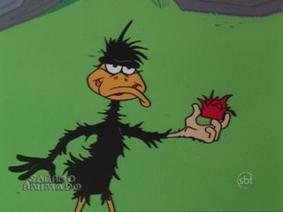 Looney Tunes - Patolino - Tease For Two (1965) (dublagem Cinecastro)