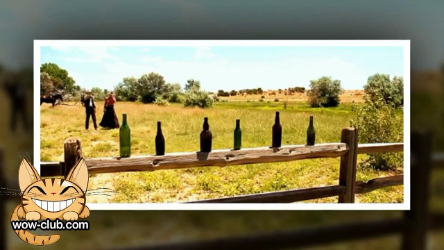 The Best Jokes and Funny Animals Compilation WOW-club #0191