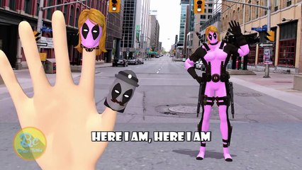 Deadpool 3D Finger Family | Nursery Rhymes | 3D Animation In HD From Binggo Channel