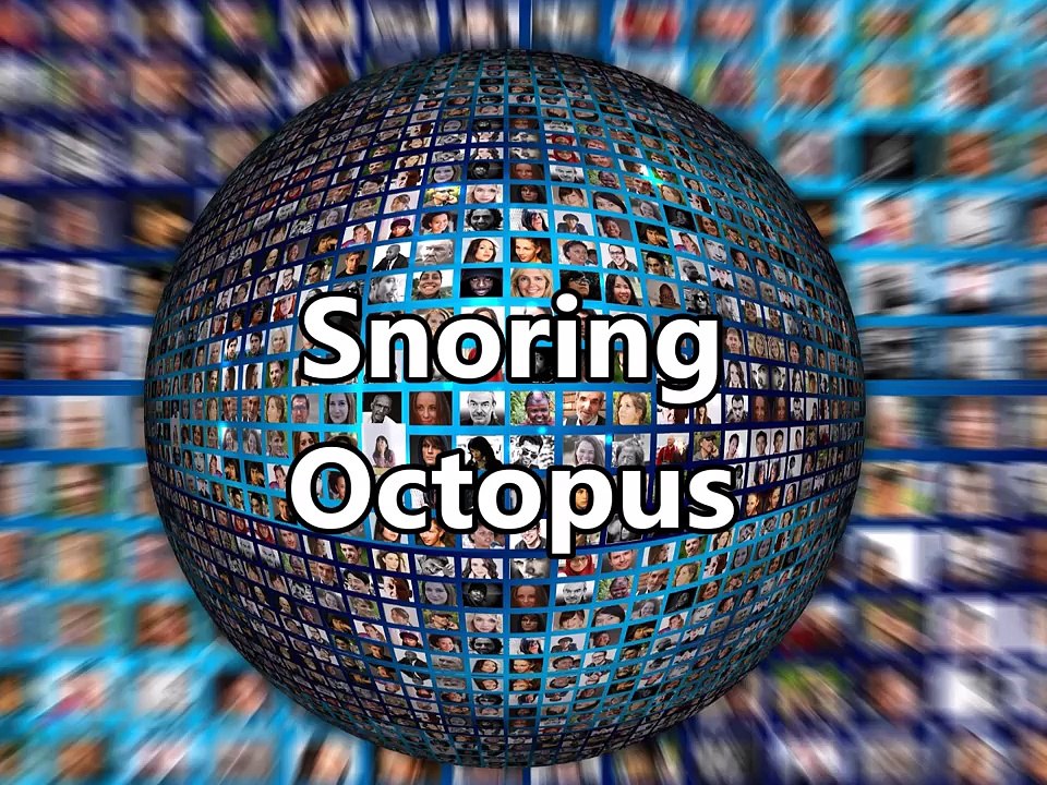 Awww!!! Animals - Animal videos, Animal attacks, Animals doing funny things