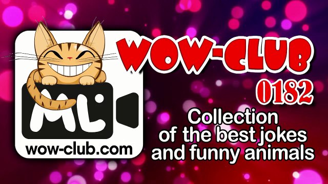 The Best Jokes and Funny Animals Compilation WOW-club #0191