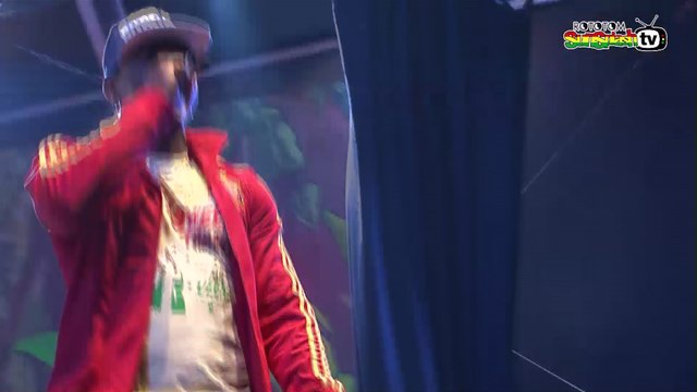 MR. VEGAS live @ Main Stage 2013