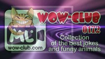 The Best Jokes and Funny Animals Compilation WOW-club #0179
