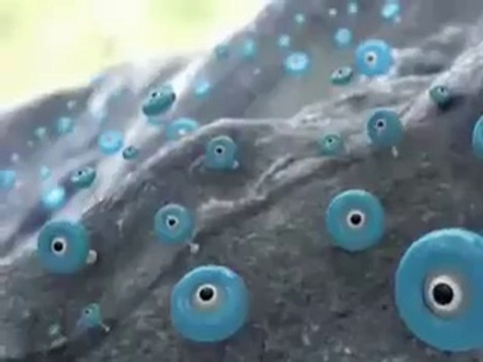 Allah cc nun eserlerinden bazıları