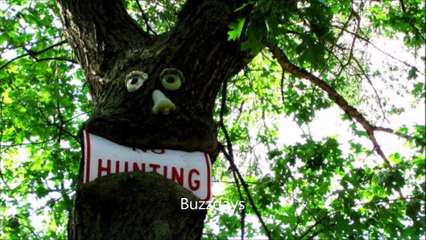 Quand la nature reprend ses droits
