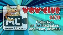 The Best Jokes and Funny Animals Compilation WOW-club #0179