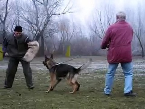 Figurant: Josef Šesták+german sheperd