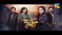 Tere Mere Beech Episode 17 Full Hum TV Drama 20 Mar 2016