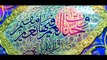 جشن ظہور پرنور رسول کریم صلی اللہ علیہ وآلہ کے موقع پر حرم حسینی میں کی گئی تزئیین