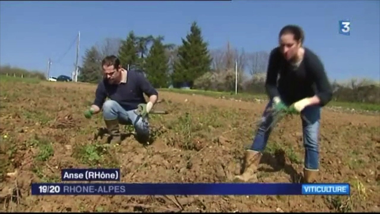 Terre rouge, vignes et vin (FRANCE 3 Rhône-Alpes)