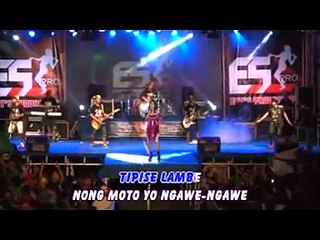 LARE AYU - YEYEN VIVIA - Album New Scorpio Reggae Jandhut Ra Kuat mbok - vol 5 2016