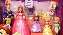 Princess Sofia And Her Royal Family Disney Princess Sofia Disney Collection