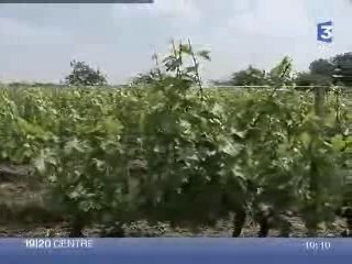 Reportage Mélanie Fortier France 3