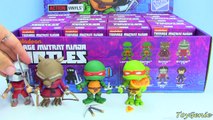 Teenage Mutant Ninja Turtles Action Vinyls Full Case