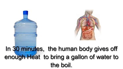 10 Awesome Facts About Human Body !