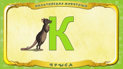 Мультипедия животных. Буква К Крыса