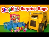 Shopkins Surprise Bags, Unboxing 3 Shopkins Surprise Bags and 12 Shopkins Special Edition Frozen Edi
