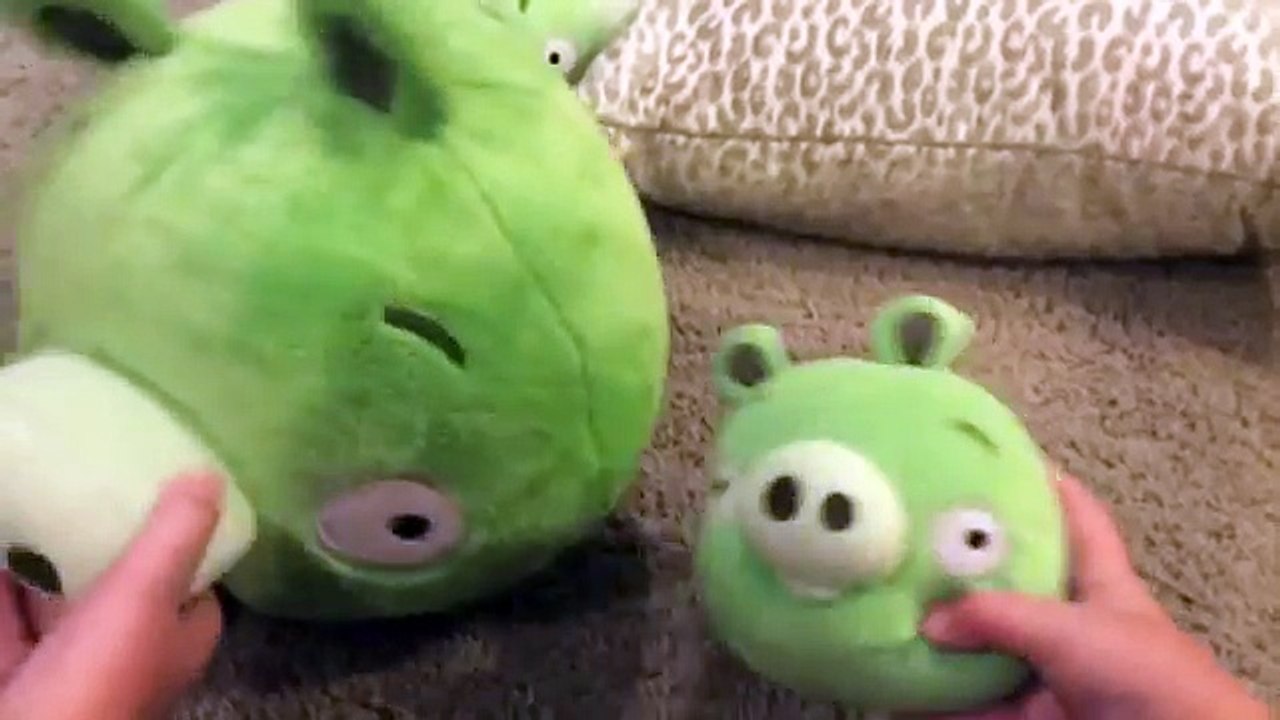 Piggy Tales: Teeter Trotter Real Life