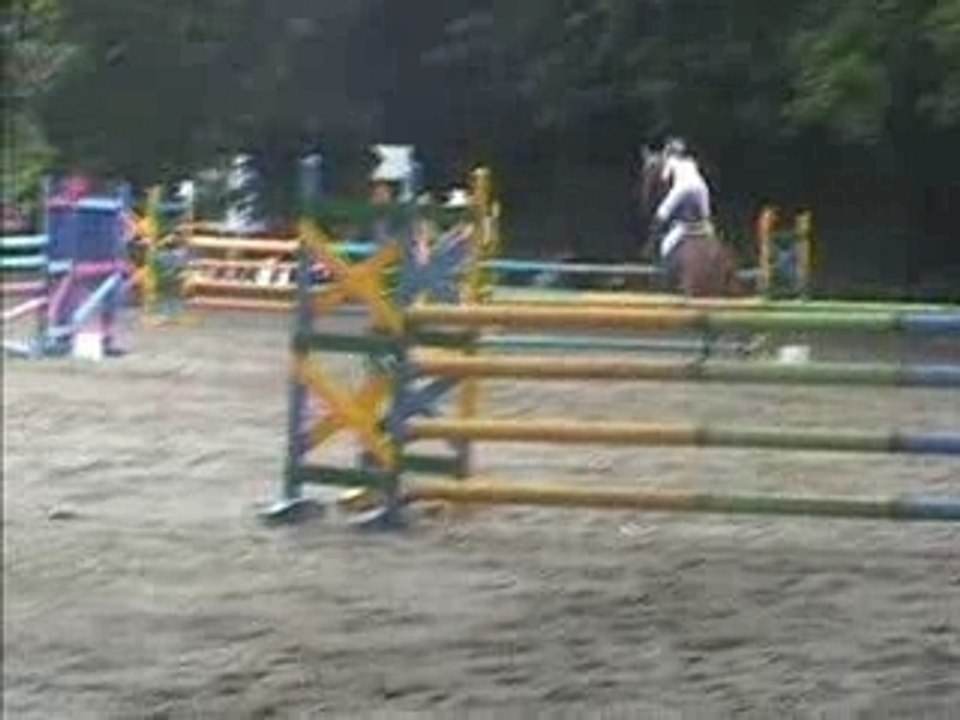 Havanne ptgp 115 vienne