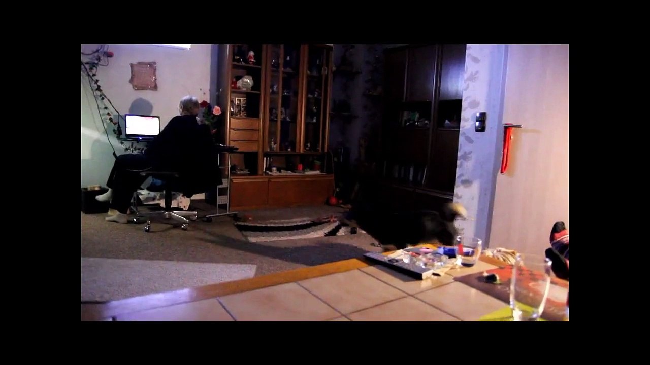 Tacka und die Fliege