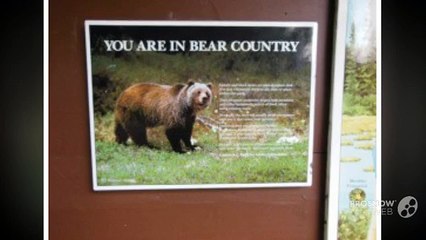 Black Bear Attack at Liard Hot Springs NEW EXTENDED VERSION-SD