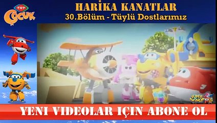 HARİKA KANATLAR 30 BÖLÜM TÜYLÜ DOSTLARIMIZ
