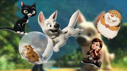 finger family bolt cartoons theme song Finger Family Song youtube