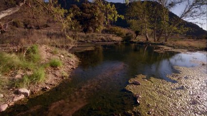 Você deve estar zuando, né Feynman ??