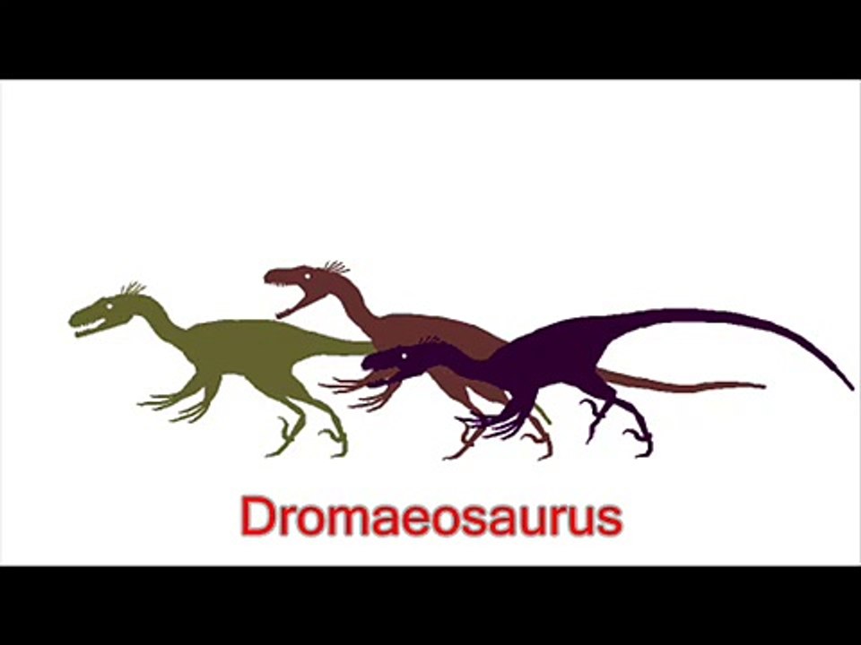 Carnivore Dinosaur Guide