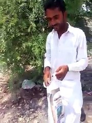 mobiles on trees free 2016