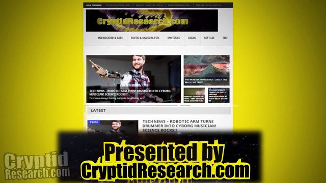 Alien Sightings, UFO Caught on Tape, Bigfoot, Slender Man Spider Monster, Mermaids, Sharks