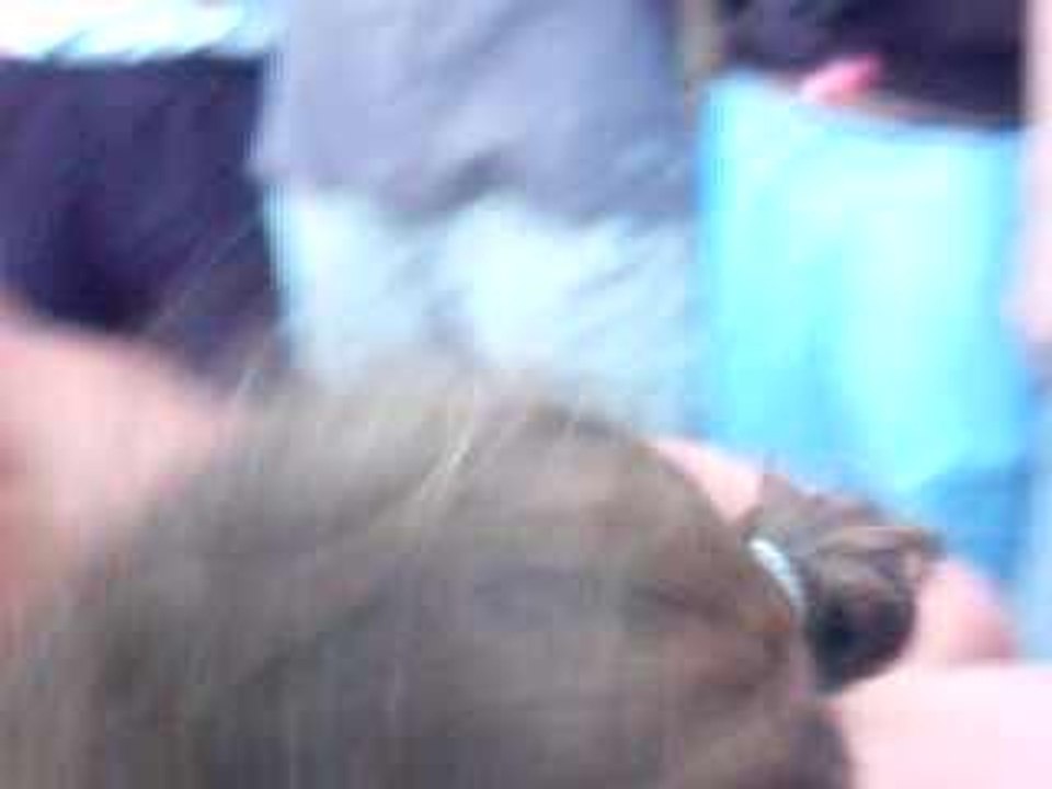 trophée ricard inté 2008