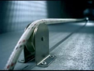 Mission Impossible ? Découvrez cette pub étonnante avec des chiens magnifiques! 🐶