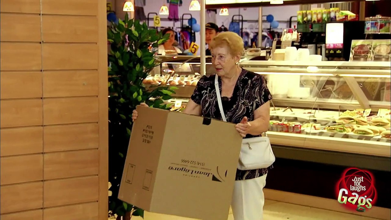 Cute Tiny Dog HORRIFIES People