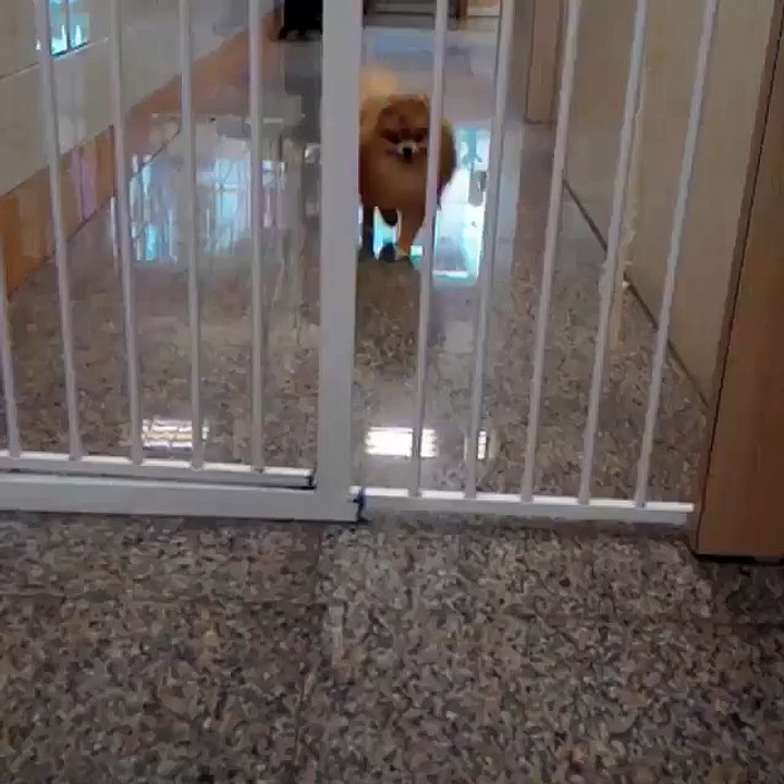 I'm not fat, I'm fluffy