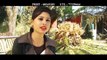 Tani Samjha Ye Raja | New Hot Bhojpuri Song 2016 | Priyanka Singh, Amit Kumar Shah (FULL HD)