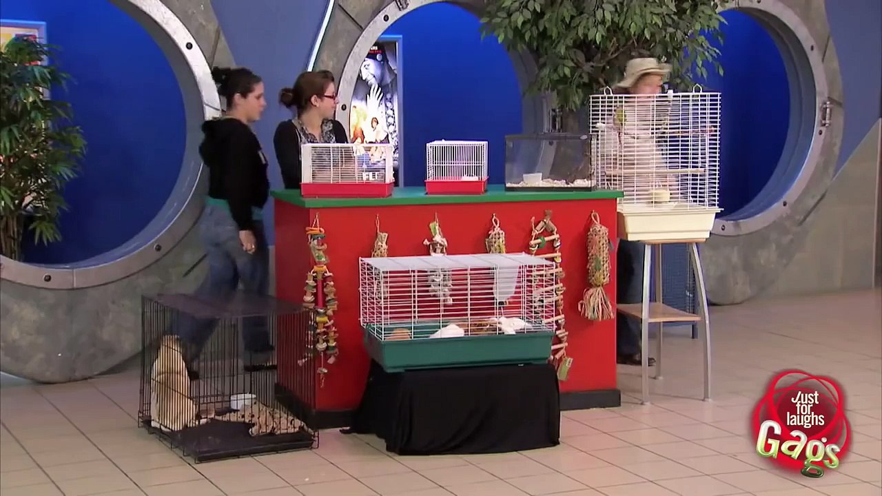 Rebel Kids - Best of Just For Laughs Gags