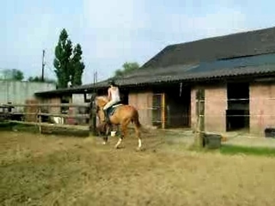 nirvana saut