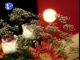 Dragana Mirkovic - Crni leptir