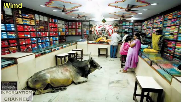 The funny and strange pictures only show in India | Funny moment pics 2016 compilation