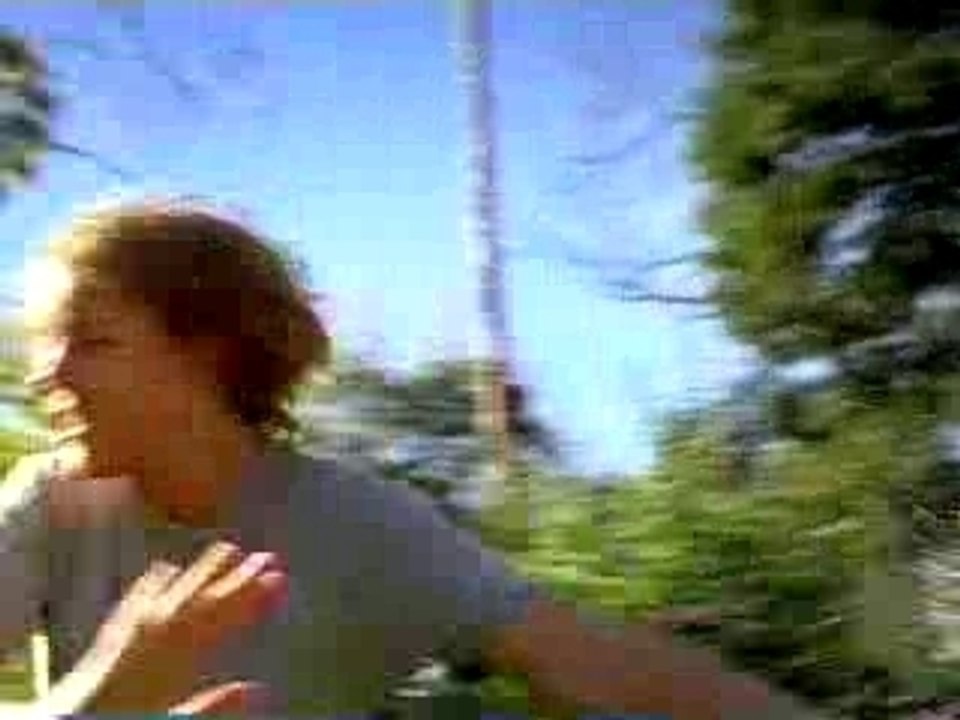 Purina Dog Chow Commercial (2007)