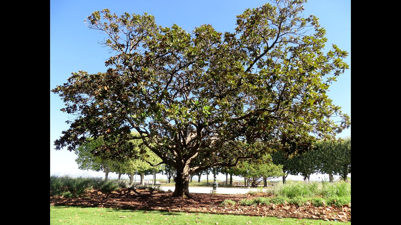 Voyages en terres connues_POM1