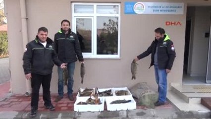 Çanakkale'de Kaçak Avlanan 100 Kilo Balığa El Konuldu