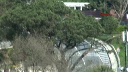 Sümeyye Erdoğan - Selçuk Bayraktar Nişanlandı