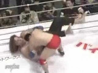 david vs goliath,combat