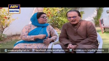 Bulbulay Episode  391 hd 20 Mar 2016