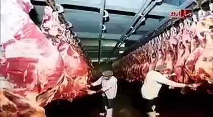 Who is the biggest traders of Cow meat?