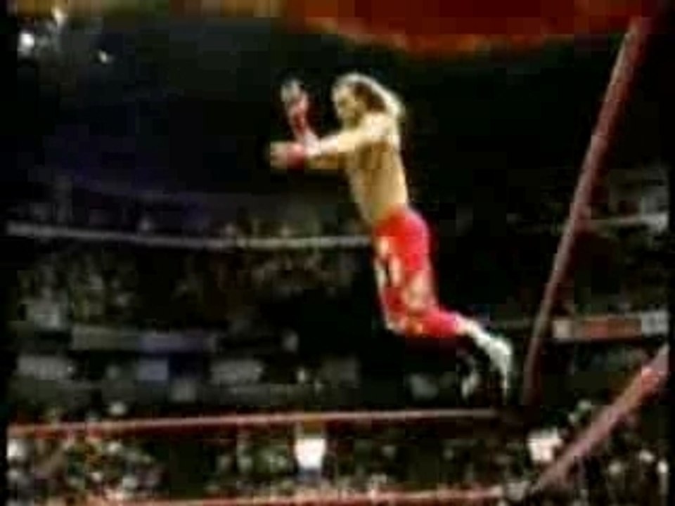 Tribute To Shawn Michaels
