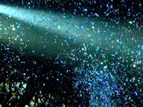 polnareff bercy 10 juin on ira tous au paradis (extrait2)