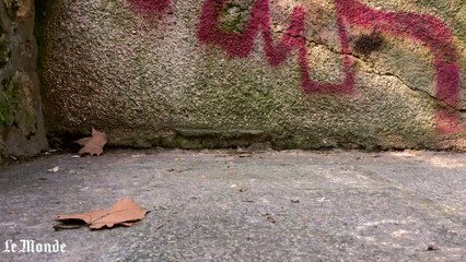 Crash test : on a cherché à casser... le Motorola X Force